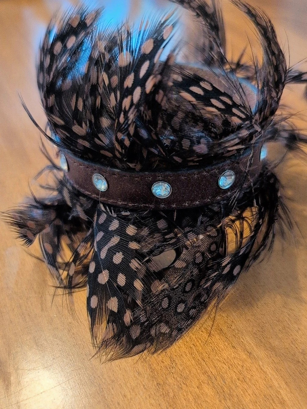 Feather Polka Dot Bracelet in Black & Brown Leather